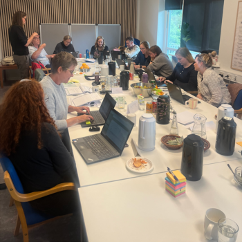 MDME-Boostkursus (online)